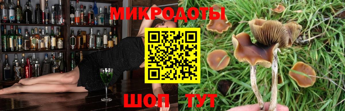 Псилоцибиновые грибы ЛСД Елизово